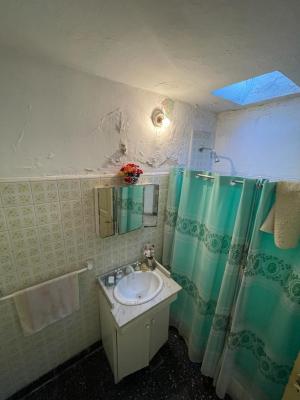 Terrono o Lote Amplio - Imagen# 5