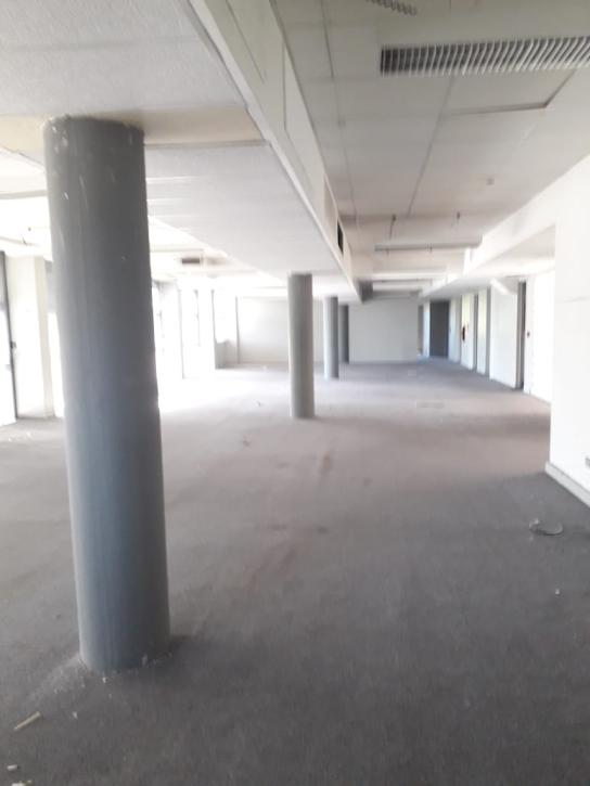 Oficina con Cocheras - Imagen# 9